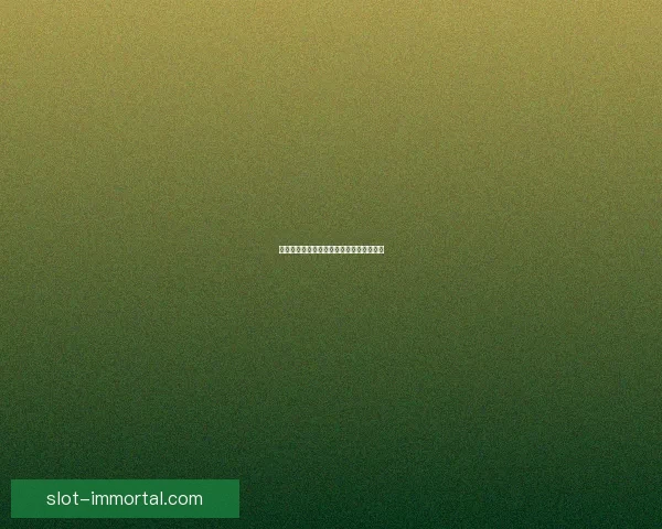 海加尔守护者军需官的职责与战略意义探讨